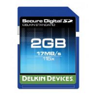 Delkin Devices 2GB SD '115X (17R/9W) 2 Pack Pro Secure Digital Memory Cards, Rated 163X - 24MB/s Read, 17MB/s Write