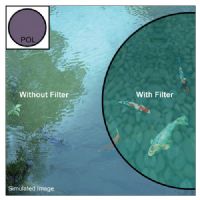 Heliopan Bay 50 Linear Polarizer Filter