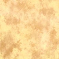 Lastolite LL LB7754 ARIZONA 10'x 12' MUSLIN