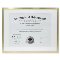 Lawrence Frames 11x14 Dual Use Gold Aluminum Document Frame