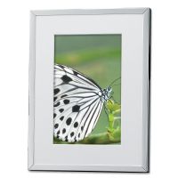 Lawrence Frames 712657 5x7 Silver Metal Picture Frame with Natural Branch Design