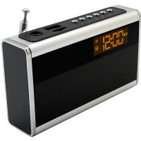 Supersonic Portable Rechargeable Speaker w/ Alarm Clock & FM Radio, Silver